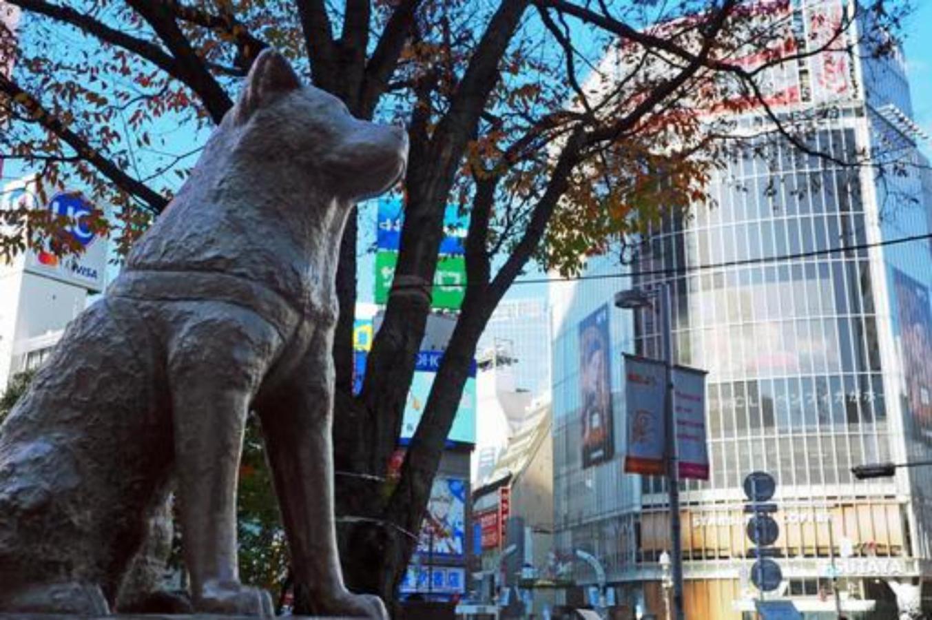 Airhome Ebisu 102 Tokyo